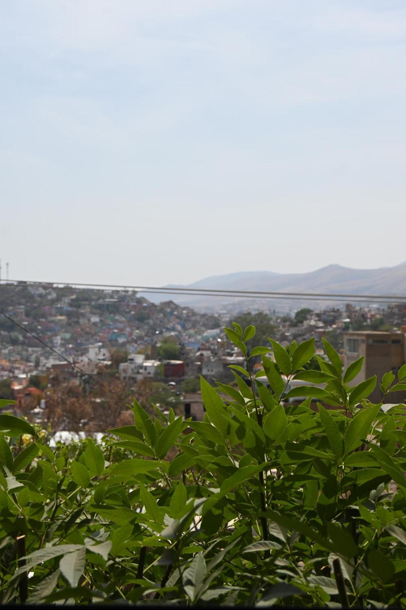 Hotel Casa 12 Reales Guanajuato Buitenkant foto